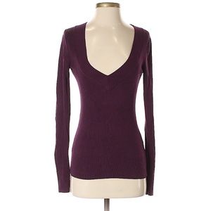 Express Purple V-Neck Sweater